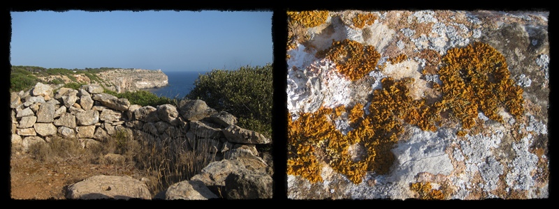 F008.jpg